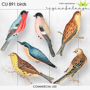 CU 891 BIRDS