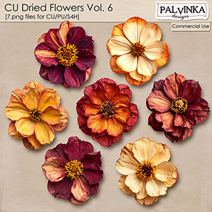 CU Dried Flowers 6