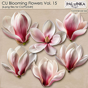 CU Blooming Flowers 15