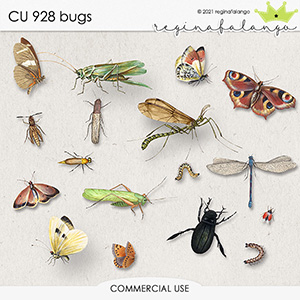 CU 928 BUGS