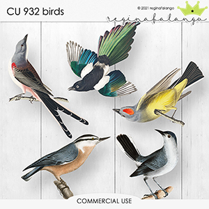 CU 932 BIRDS