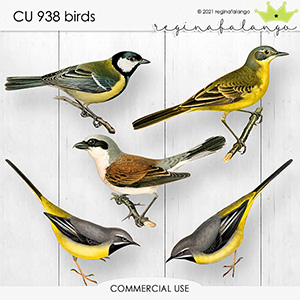 CU 938 BIRDS