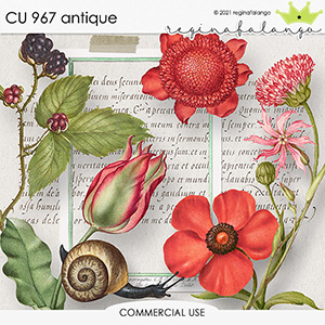 CU 967 ANTIQUE