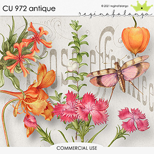 CU 972 ANTIQUE