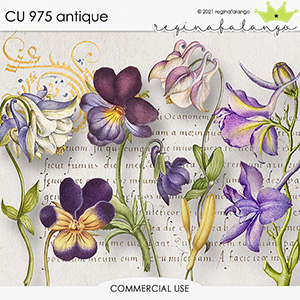 CU 975 ANTIQUE