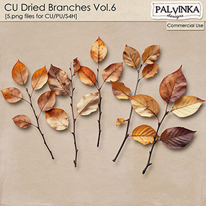 CU Dried Branches 6