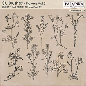 CU Brushes - Flowers 5