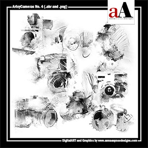 ArtsyCameras No 4