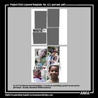 Project 2011 Template No 11
