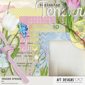 Tender Spring Kit