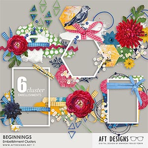 Beginnings Cluster Embellishments