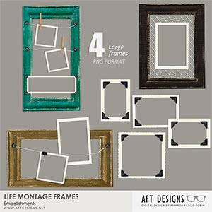 Life Montage Frame Embellishments
