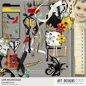 Life Montage Embellishments