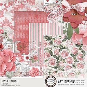 Sweet Blush Mini Kit