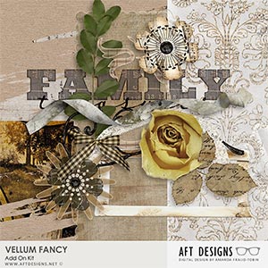 Vellum Fancy Add On Kit