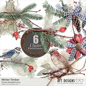 Winter Timber Cluster Embellishments