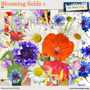 Blooming fields 1