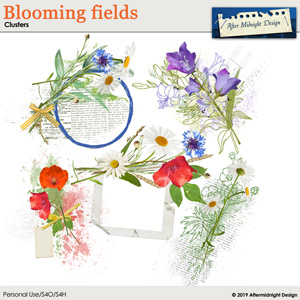 Blooming fields Clusters