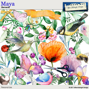 Maya Elements 1