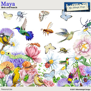 Maya Birds and Insects