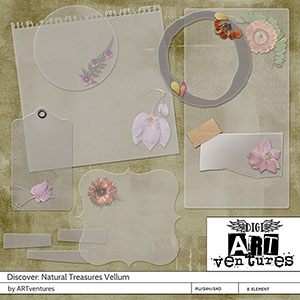 Discover: Natural Treasures (Vellum)