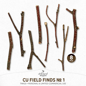 CU Field Fiends No 1 Twigs
