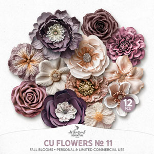 CU Flowers No 11 Fall Blooms