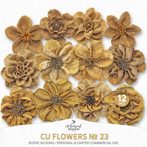 CU Flowers No 23 Rustic Blooms