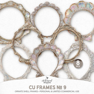 CU Frames No 9 Ornate Shell Frames