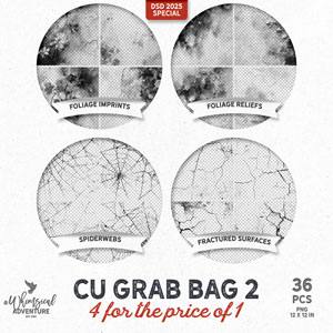 CU Grab Bag No 2 4 For The Price Of 1