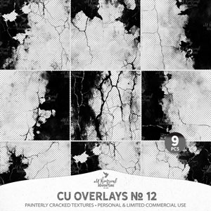 CU Overlays No 12 Painterly Cracked Textures