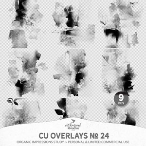 CU Overlays No 24 Organic Impressions I