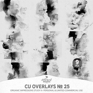 CU Overlays No 25 Organic Impressions II
