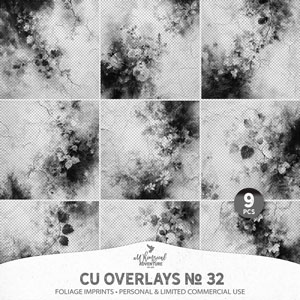 CU Overlays No 32 Foliage Imprints