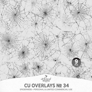 CU Overlays No 34 Spiderwebs