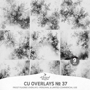 CU Overlays No 37 Frost Filigree Overlays