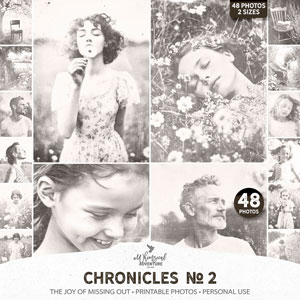 Chronicles No 2 The Joy Of Missing Out