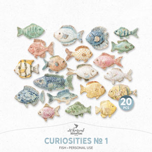 Curiosities No 1 Fish