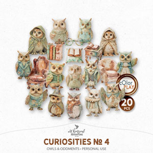 Curiosities No 4 Owls And Oddments