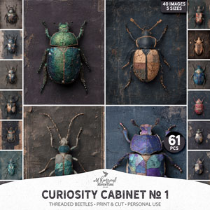Curiosity Cabinet No 1 Threaded Beetles