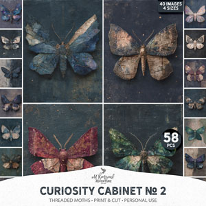 Curiosity Cabinet No 2 Threaded Moths