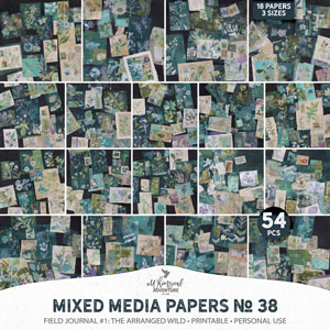 Mixed Media Papers No 38 Field Journal 1