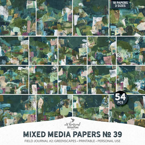 Mixed Media Papers No 39 Field Journal 2