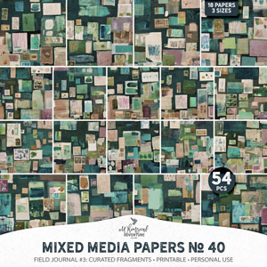 Mixed Media Papers No 40 Field Journal 3
