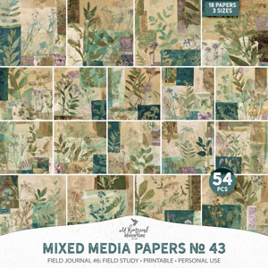 Mixed Media Papers No 43 Field Journal 6