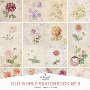 Old World Sketchbook No 5 Dahlias