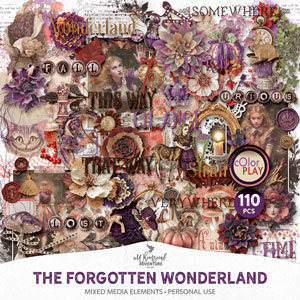 The Forgotten Wonderland Mixed Media Elements