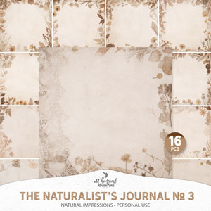 The Naturalist's Journal No 3 Natural Impressions