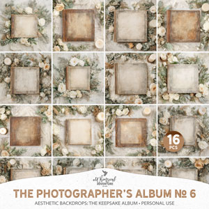 The Photographer's Album No 6 The Keepsake Album