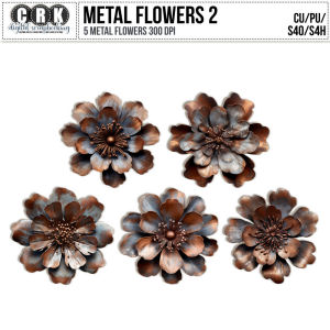 (CU) Rusty Metal Flowers Set 2 by CRK  
